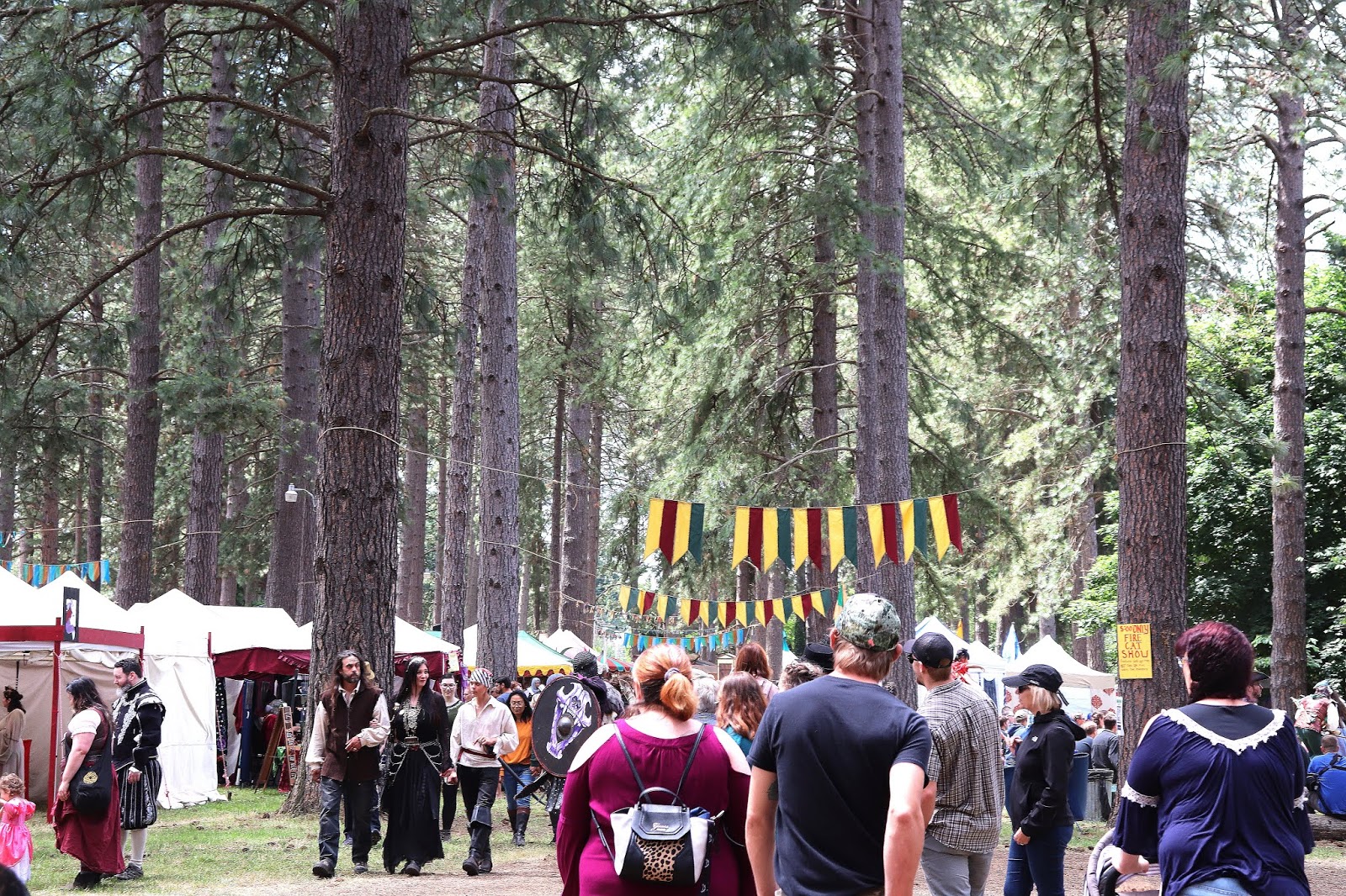 Annie à la Mode Oregon Renaissance Faire