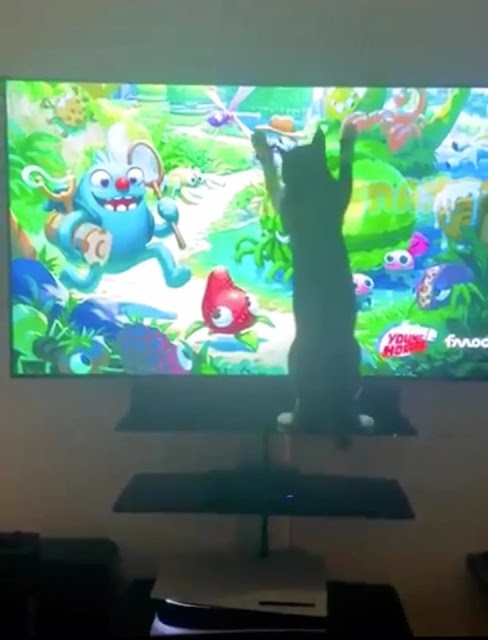 رئيس أستوديوهات سوني العالمية ينشر فيديو يظهر فيه جهاز PS5 بالوضع المعكوس و يخلف موجة سخرية من اللاعبين