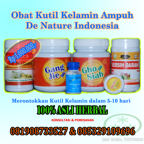 obat kutil kelamin herbal obat kutil kelamin herbal