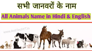 सभी जानवरों के नाम हिंदी में | Animals Name In Hindi and English
