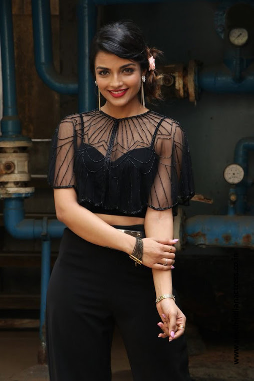 Ashna Zaveri stills at Nagesh Thiraiyarangam press meet