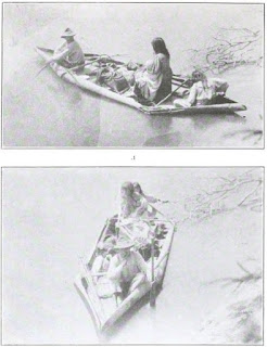 Bark canoe on Rupununi River, Guyana