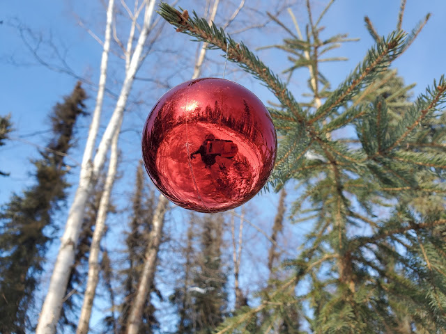 Christmas ornament hanging outside in a spruce tree