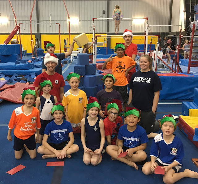 Oakville Gymnastics Club Acrobatic Gymnastics Team: 2016