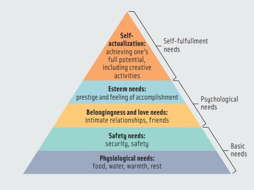 Maslow’s Hierarchy of Needs and Douglas McGregor’s Theory in IT industry