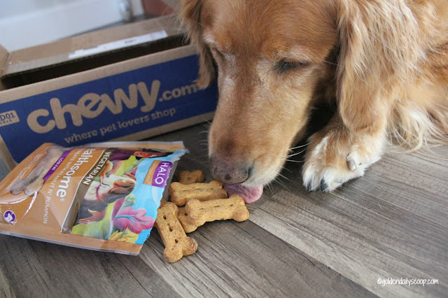 Halo Healthsome Vegetarian Dog Biscuits #ChewyInfluencer #sponsored