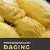 Reseller Daging Durian Medan Harum di Tana Paser