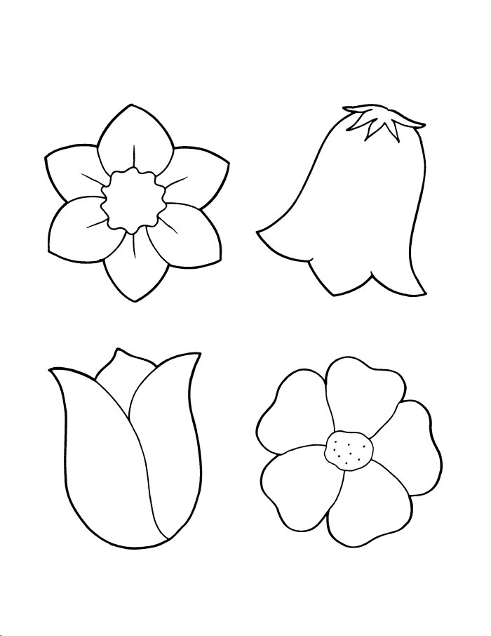 Spring Flower Coloring Pages - Flower Coloring Page
