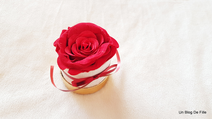 La Rose Rouge Et Joli Lilas