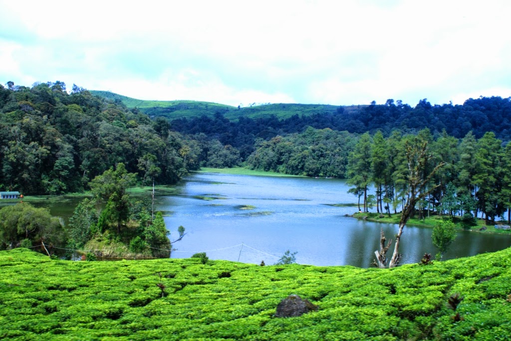 Wisata Alam Situ Patenggang Bandung Wisata Alam Situ Patenggang Bandung
