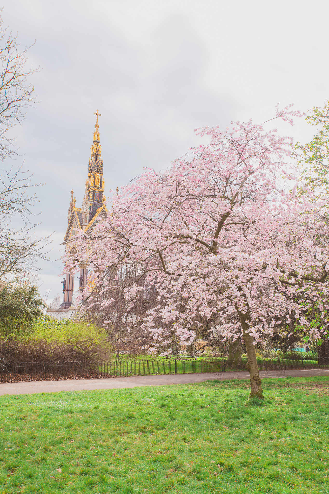 Where to find the cherry blossoms and magnolias in London (a complete