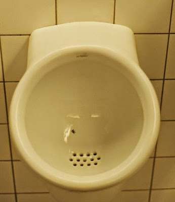 Fly in Schiphol's toilet