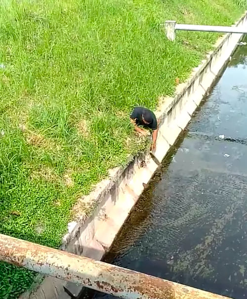 Disabled Man Gets Out Of His Wheelchair And Risks His Life To Save Kitten Stuck In Drain