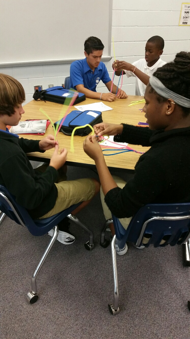 Mrs. Hraczo's STEM Lab Pipe Cleaner Challenge