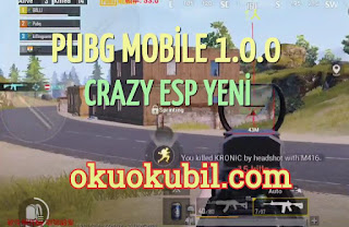 Pubg Mobile 1.0.0 Crazy ESP Menu Çalışan ESP + Aimbot Hilesi Apk Ekim 2020