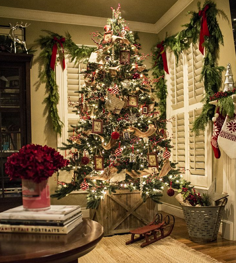 Brighten Your Holidays With Tanglewood The Best Holiday Gift - 66nzdpy