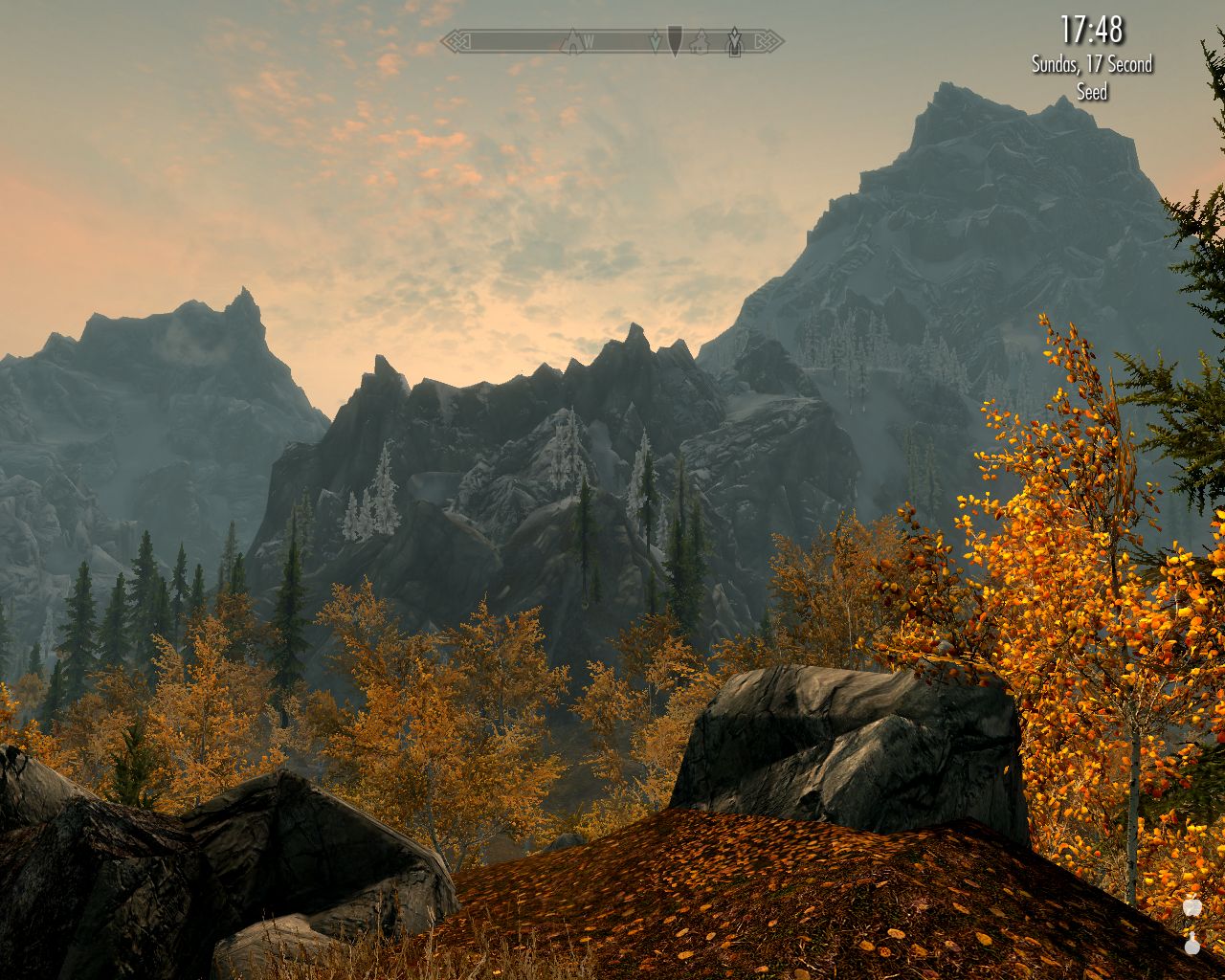 sun going down, leaves on the ground, many trees ahead, rocky mountains in the distance