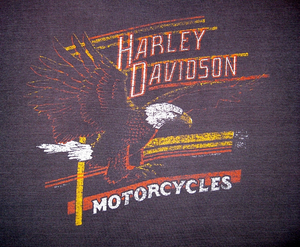 Wörn75: Harley Davidson