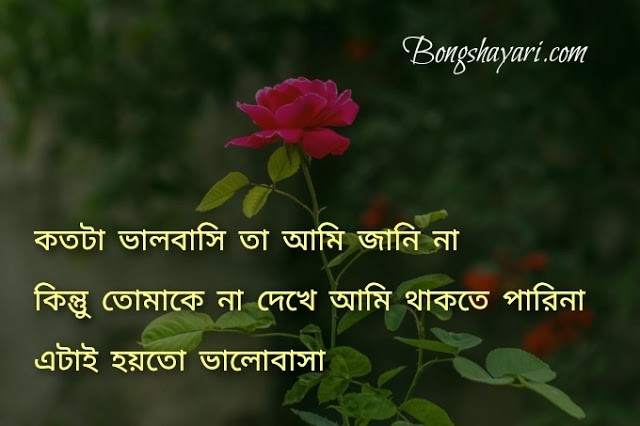 100 Bangla Shayari 2021 Bangla Shayari Download With Photos