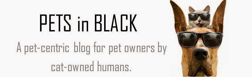 Pets in Black