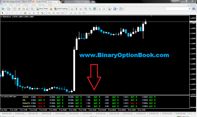 assistant for trading on the binary options online