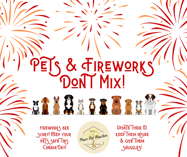 Firework Safety How to keep your pet safe on Canada Day Paws for