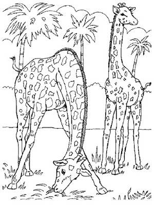 Desenhos de girafa