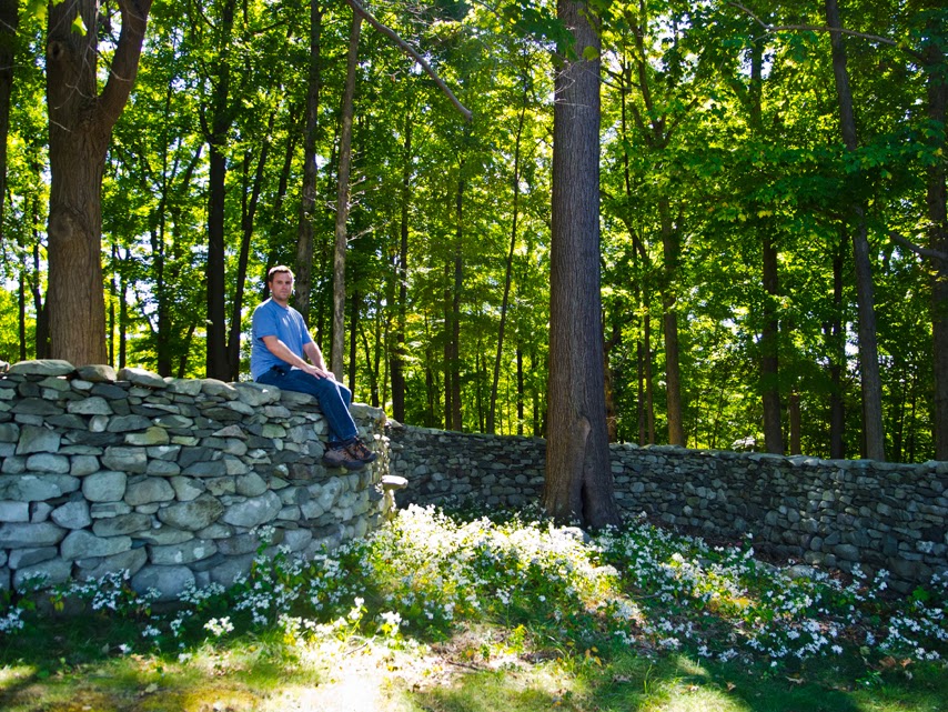 CompositionX Andy Goldsworthy Storm King Wall (1998)