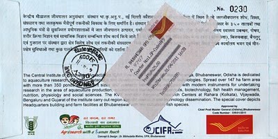 Special cover back