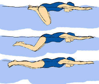 Pengertian Renang Gaya Dada Beserta Peraturannya Menurut Fina Penjasorkes