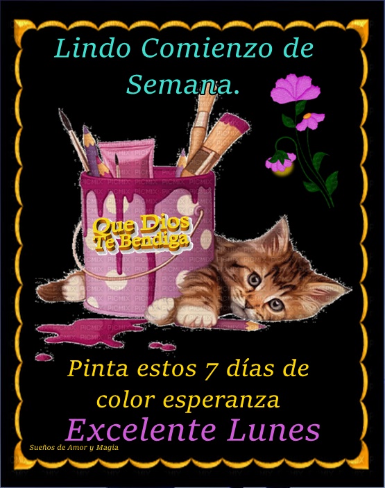 Ver las imágenes de origen
