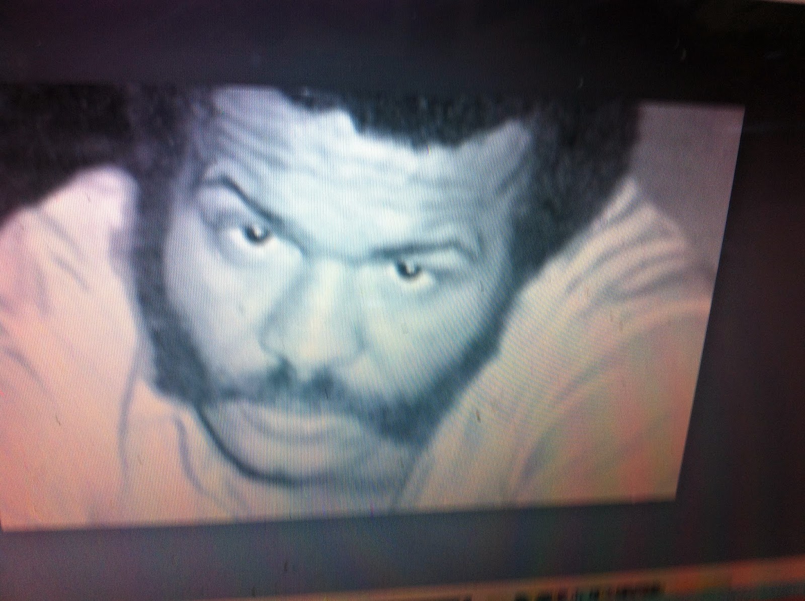 THE BLACK SOCIAL HISTORY BLACK SOCIAL HISTORY AFRICAN AMERICAN