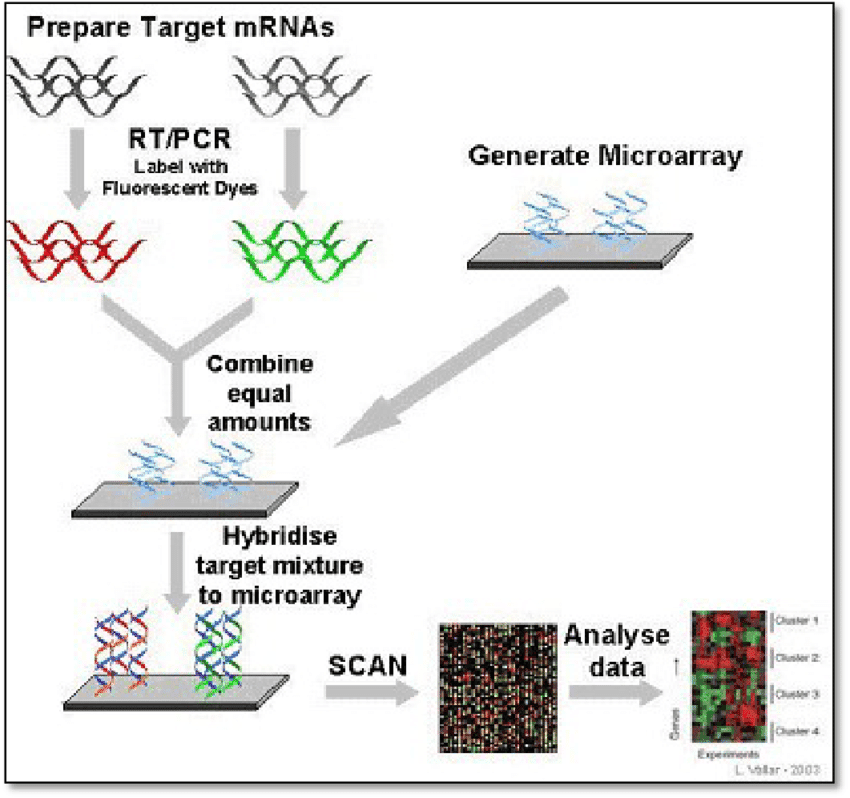Prueba de Microarray en Neumonía por Neumococo