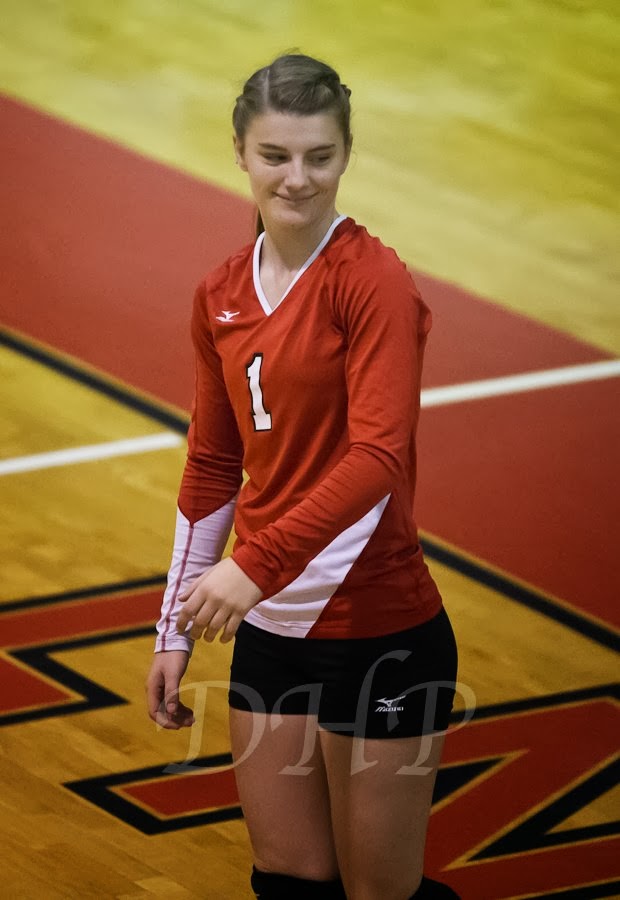 ELKMONT ALABAMA DECATUR DAILY ALL AREA VOLLEYBALL TEAM