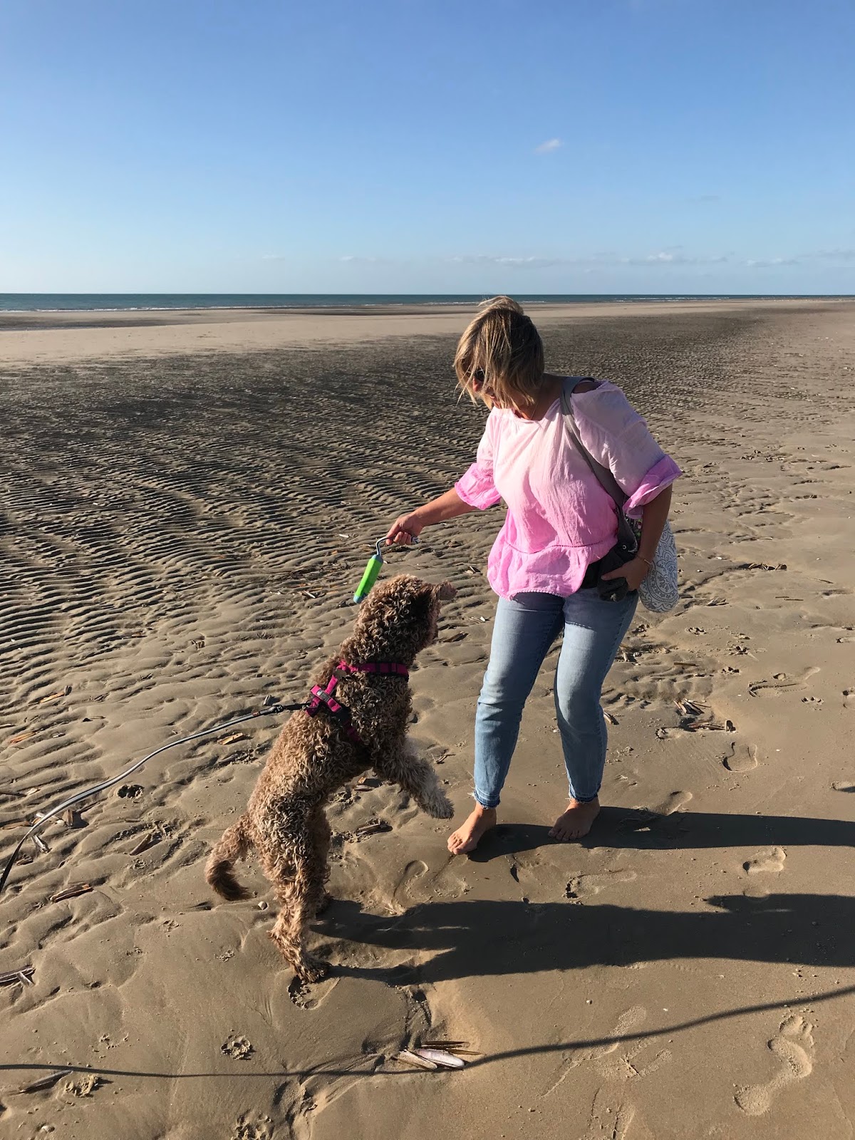 Download 4 zimmer myrte strand mieten For Android Free