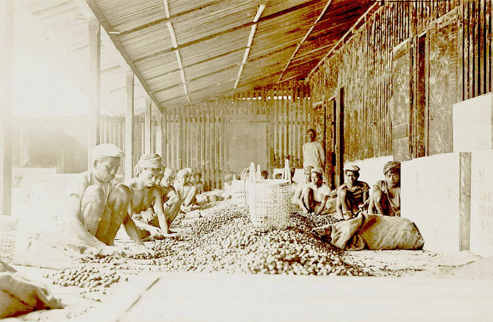 Banda The Secret Island of Nutmegs Amusing