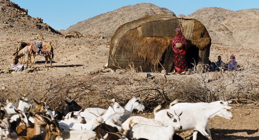 FLOR DO DESERTO (LEGENDADO/1080P) – 2009 FormatFactoryA%2BFl%25C3%25B4r%2Bdo%2BDeserto.2009.1080p.BluRay.Leg.mkv_snapshot_00.03.56.128