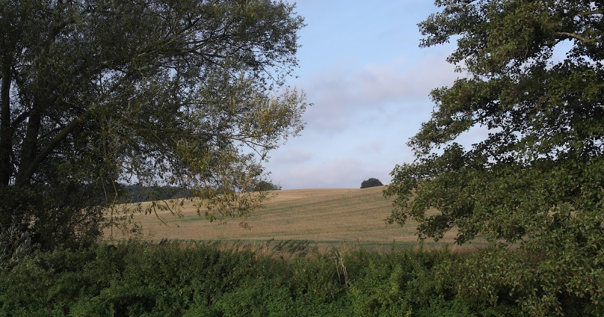 Piscatorial Quagswagging The Tiny River Alne Dew Beaters and Dial Plates