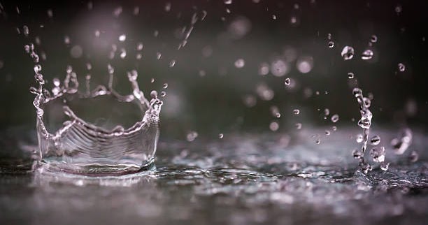 à¤ªà¤¾à¤µà¤¸à¤¾à¤³à¥à¤¯à¤¾à¤¤ à¤à¤¾à¤¯ à¤à¤¾à¤³à¤à¥ à¤à¥à¤¯à¤¾à¤µà¥