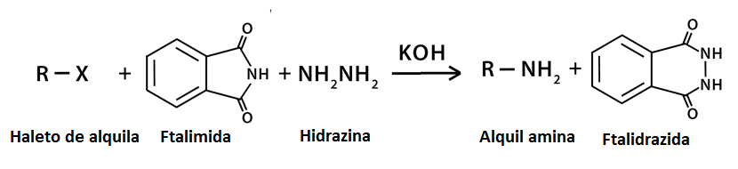 síntese de gabriel ftalimida