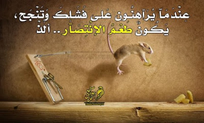 حكم عن الحياة والدنيا حكم عن الحياة والدنيا