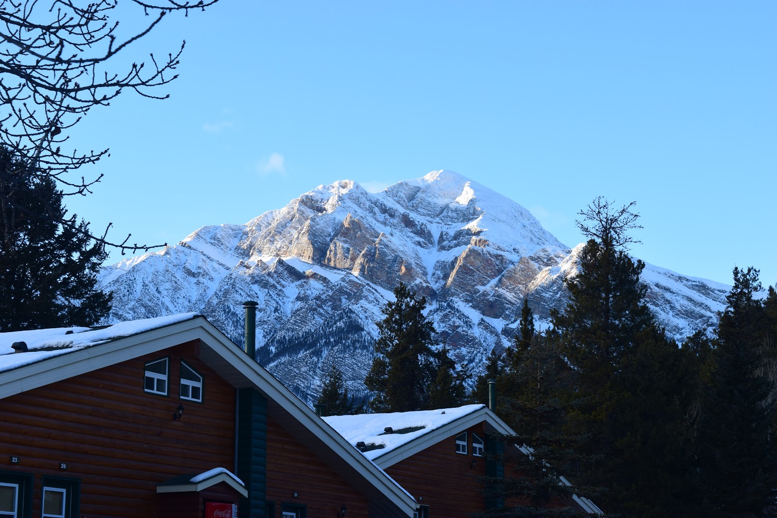 15 Things to Do in Edmonton in Winter Fat Biking, Ice Castles and Much More Travelling Weasels