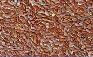 seeds seeds