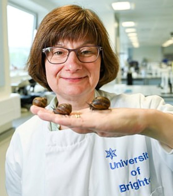 Scientist makes a major breakthrough in the search for new antibiotics studying SNAIL slime