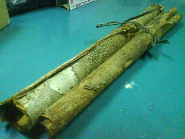 Kayu Raru Obat Diabetes: Kayu Raru Obat Diabetes