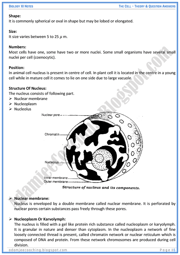 the-cell-descriptive-question-answers-biology-11th
