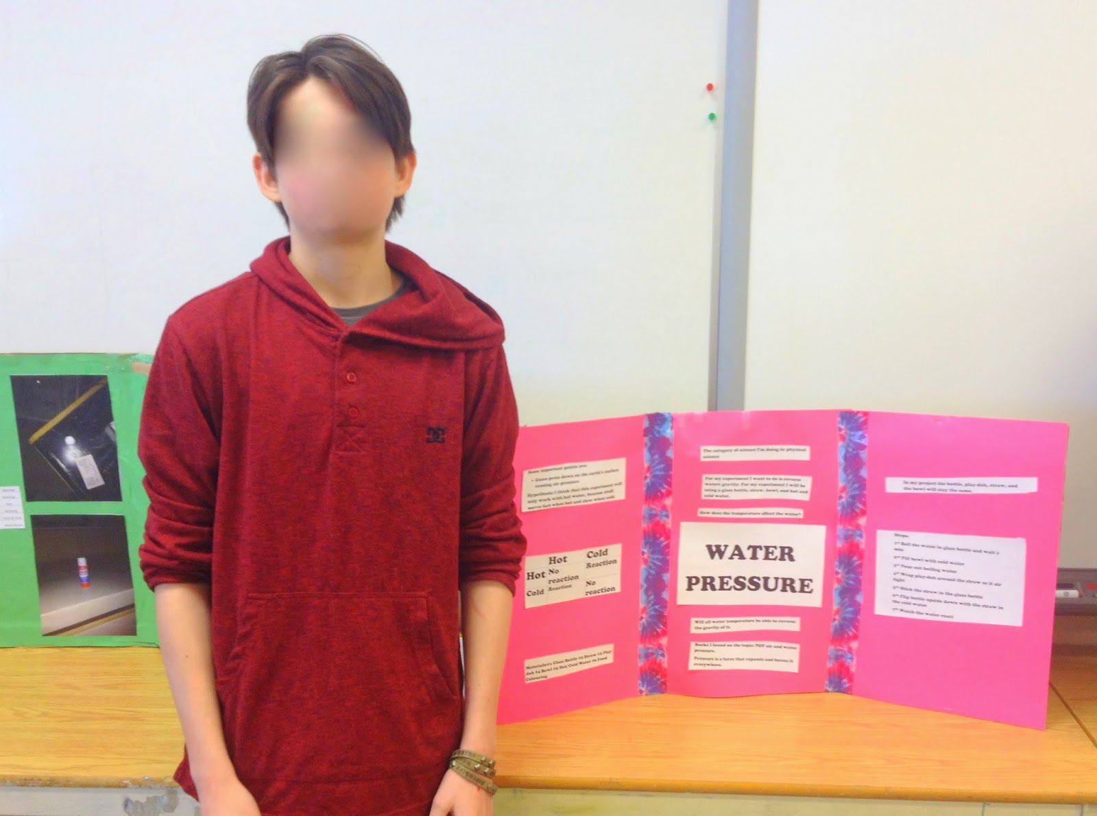 Miss L's Whole Brain Teaching My First Science Fair