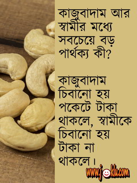 Difference between cashew nuts and husband Bengali question answer short joke