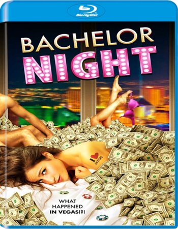 Bachelor Night (2014) English 480p BluRay x264 250MB