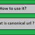 What is canonical url ?: canonical definition 2021